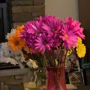 Meet your Posher, Alicia